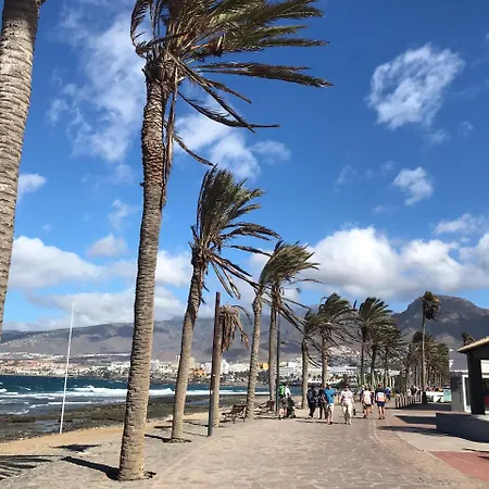Incantevole De La Reina Arona (Tenerife)